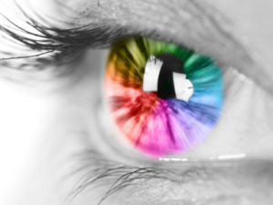 North Lakes Optometrist